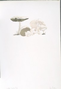 The Mushroom book. Page 8